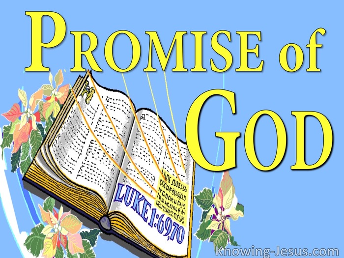 promise-of-god-perfect-man-eternal-son-7